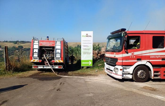 Fonte Nuova – Large fire at the nursery: volunteers and firefighters working day and night to put out the fire
