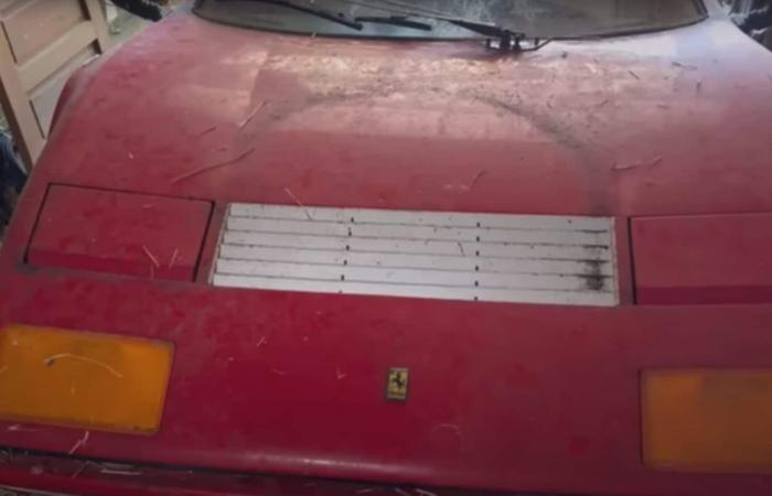 A rare Ferrari abandoned for 28 years found in a pitiful state in a barn: it was invaded by mice
