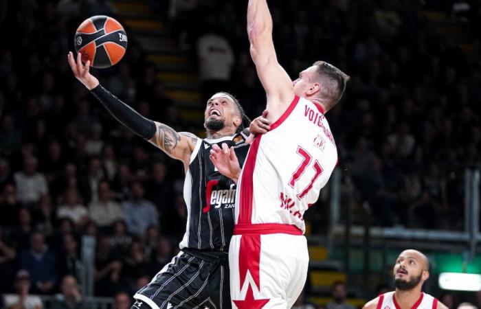 Virtus Bologna confirmed in the Euroleague 2024-2025 with Milan. EuroCup, Trento and Venice underway