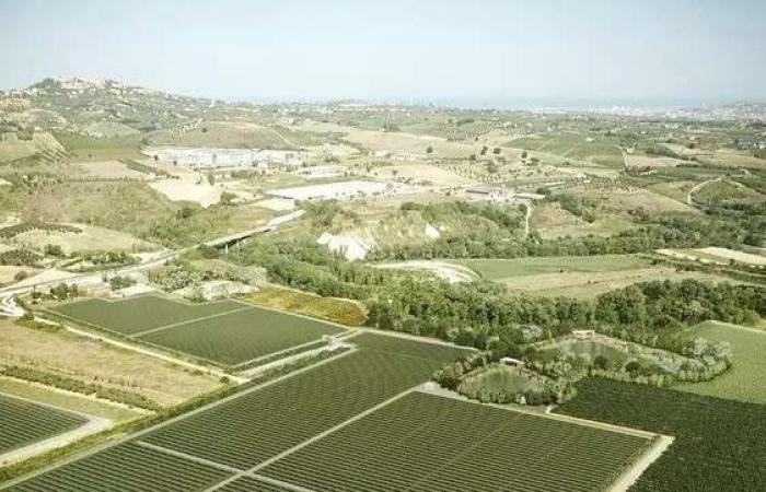 EssilorLuxottica goes renewable: it will create an innovative solar park – Pescara