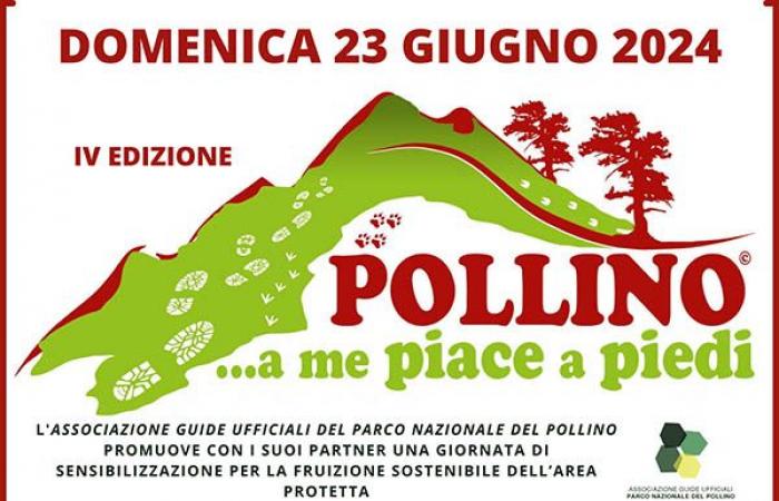 A tribute concert to Eddie Vedder, information meeting and excursions are scheduled on the Pollino. That’s when