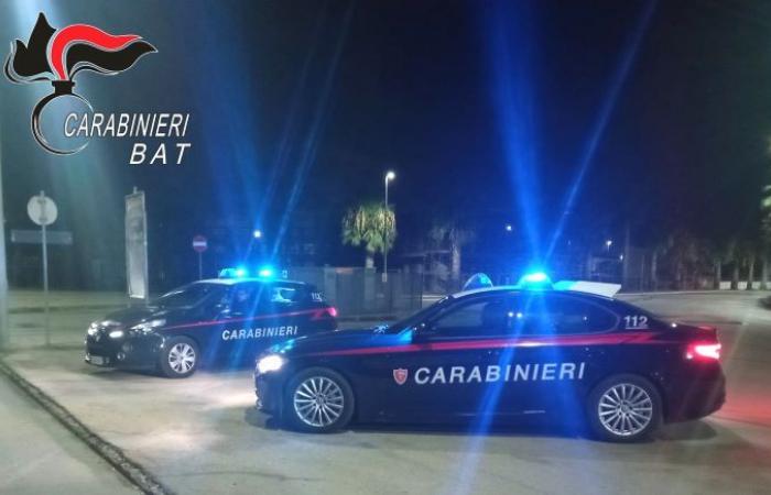 stabbed and hit repeatedly with a stick, two young people from Trani arrested for attempted murder