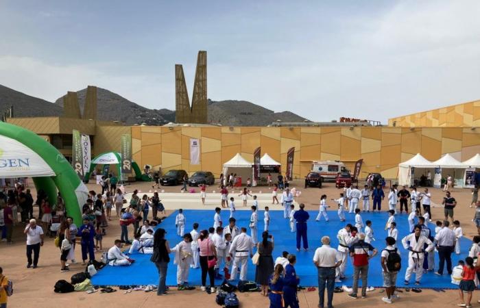 “All sport!”, success for the sports village at Conca d’Oro in Palermo