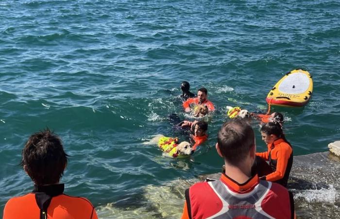 Mare Nordest ends with an 18 kilometer swimming crossing in the Gulf of Trieste