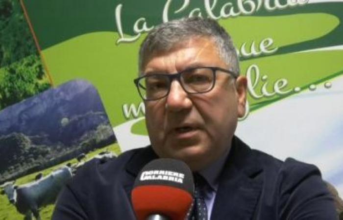 “Enough abuse.” Giovinazzo (Reclamation Consortium) announces extraordinary checks in Calabria