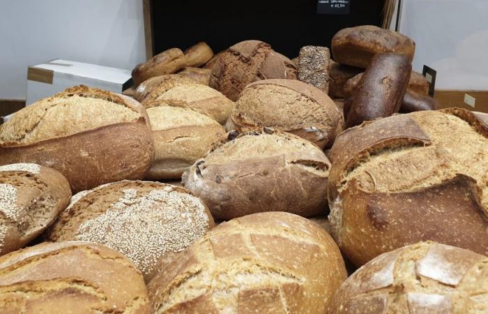 Bread and bakers of Italy from Gambero Rosso, a new entry for Liguria