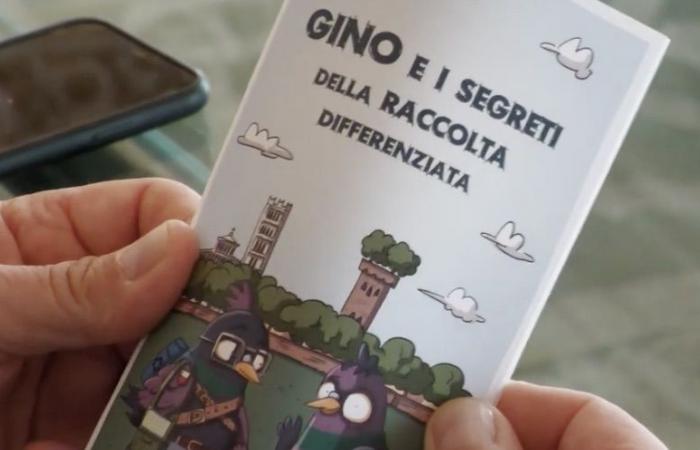 “Gino the pigeon” arrives in Lucca, a comic to raise awareness among tourists about the issue of waste