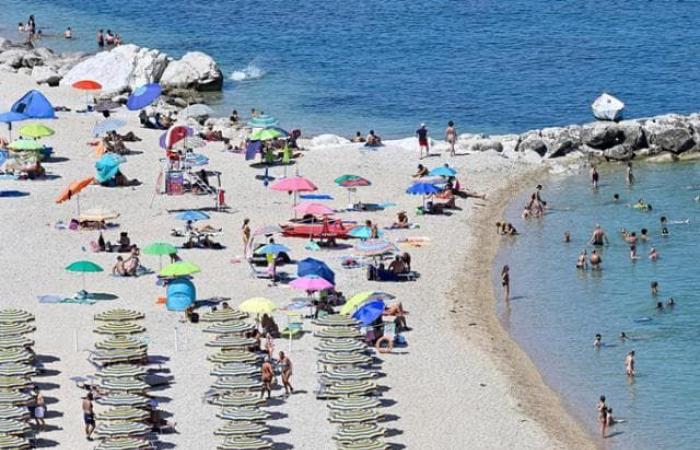 Redditometer and seaside resorts, the government stops the blitz of Forza Italia and Lega
