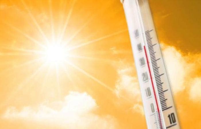 Heat wave coming to Italy: temperatures 12 degrees above normal – Economy and Finance