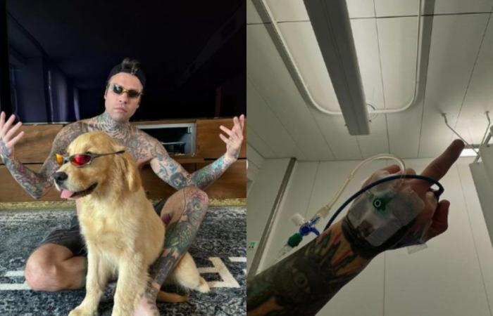 Fedez back in hospital? The return to Instagram between drip and a new dog (which makes fans discuss)
