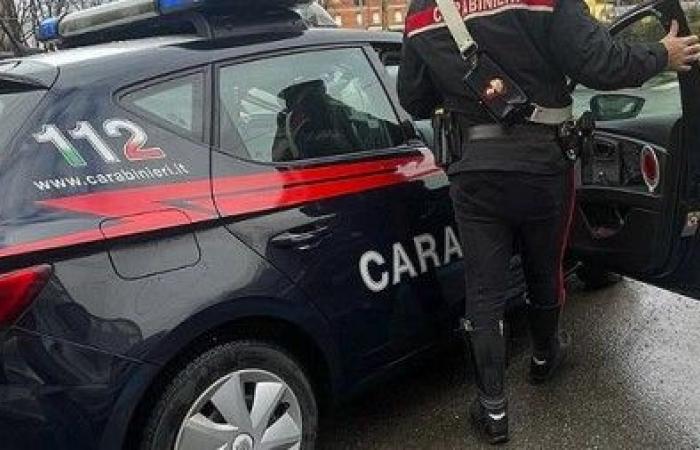 Fight against drug dealing in Calabria: 5 people arrested. VIDEOS and NAMES