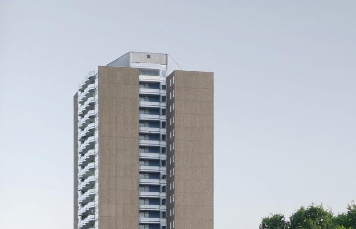 A 60m2 apartment all in concrete in Cologne
