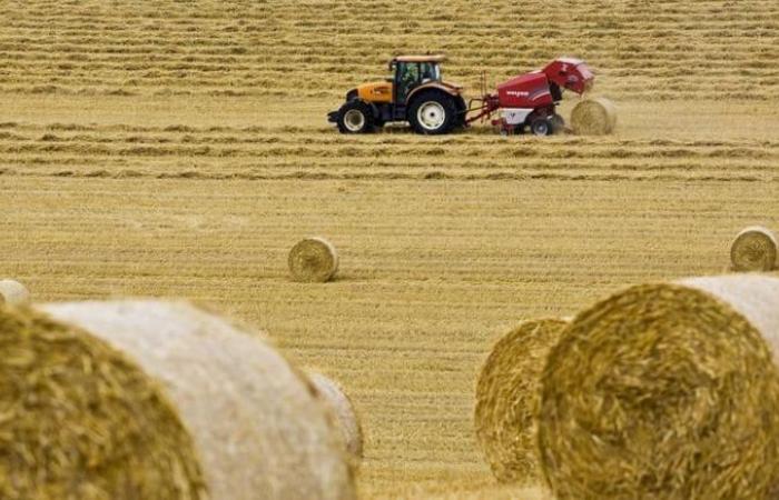 Sardinia: hundreds of tractors and over two thousand farmers in the streets due to the drought