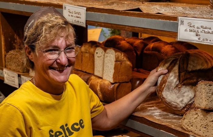 The best bread in Turin can be eaten in these 5 bakeries – Turin News