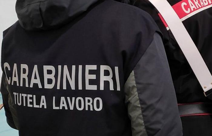 Two illegal workshops with illegal workers discovered in the Lucca plain: fines and suspension of activities