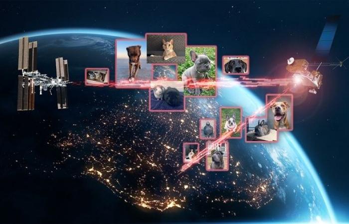 Hundreds of images of animals sent into space via laser VIDEO – Space and Astronomy