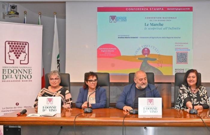 The women of wine drive the Marche: national convention between tourism and reflections on the system. Big party for Lacrima