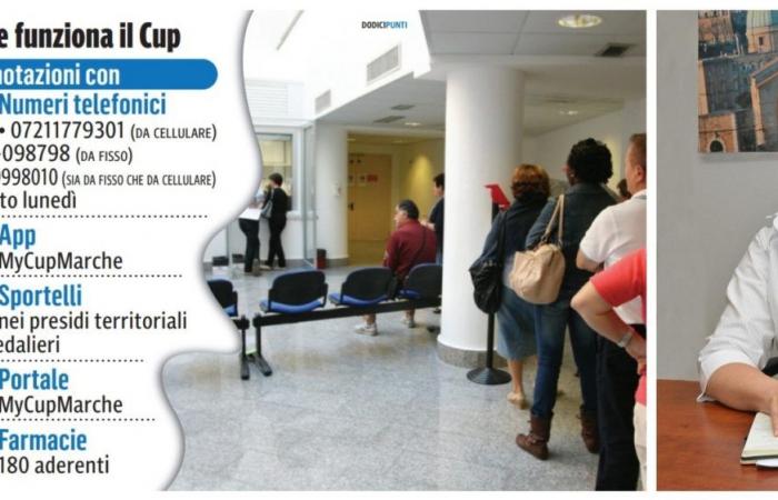 Marche, book a visit to the Cup? A nightmare: “It’s number 117.” Carle (Ars): «A moment of transition»