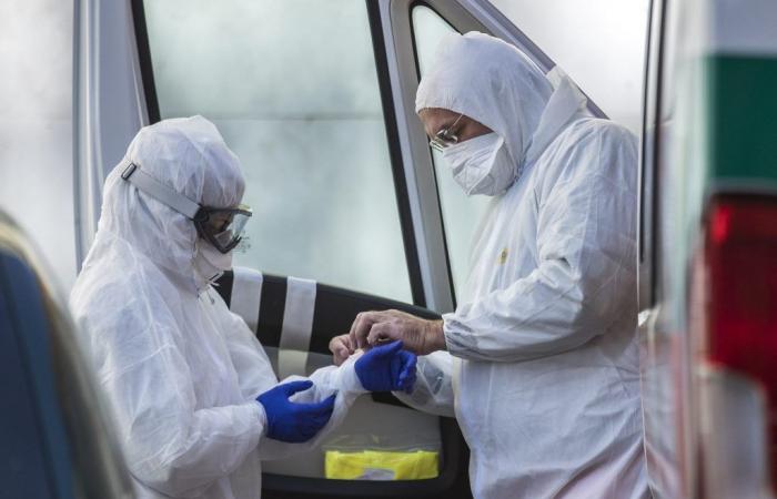 “Avian flu pandemic is a matter of time, mortality up to 50%”: the virologist’s alarm
