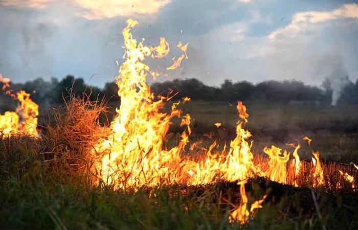 Forest fires: ban on lighting fires in Celano until 17 October