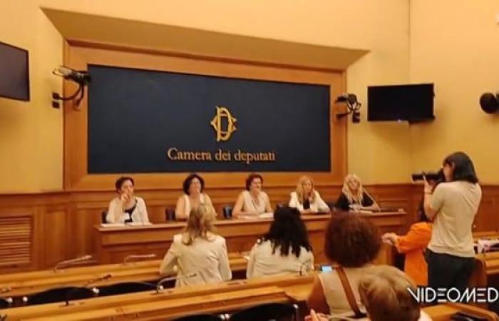 VICENZA. A LAW AGAINST PFAS, MOMS ARE BACK IN PARLIAMENT