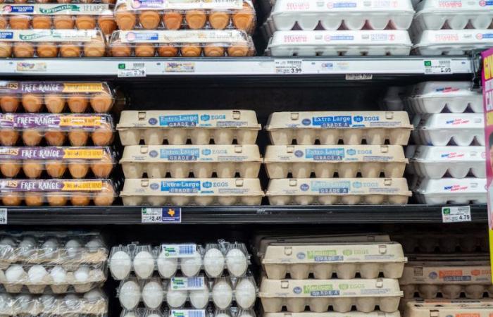 The European Commission will reintroduce duties on eggs and oats from Ukraine