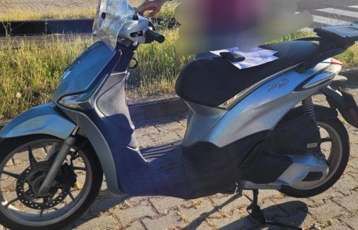 Florence, the municipal police find the scooter stolen from the Legnaia teacher