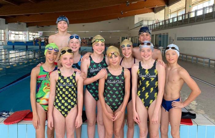 Chimera Nuoto is seventh in the Tuscan Cup for Beginners A
