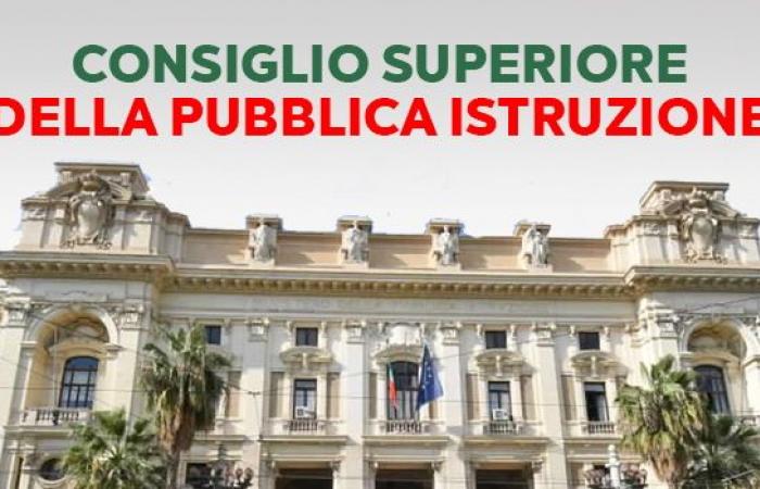 Opinions of the CSPI on the two resolutions of the Council of the Autonomous Province of Bolzano regarding the teaching of “Ethics” to pupils who do not make use of the IRC