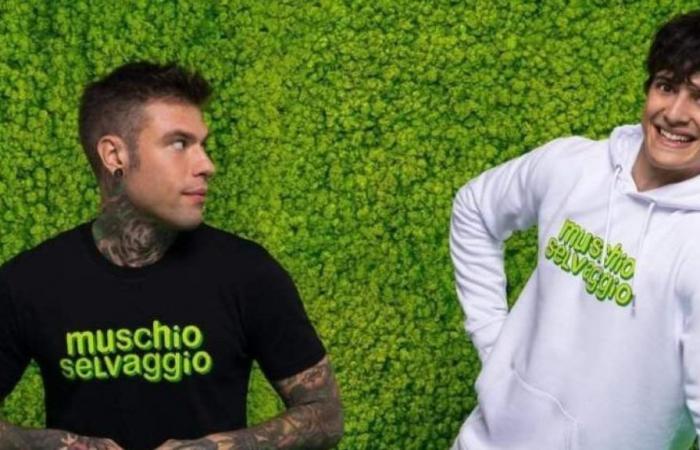 But without Fedez and with the return of Luis Sal, how is Muschio going…