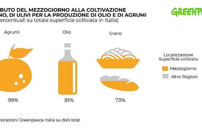 uncertain future for citrus fruits, olive oil and Italian durum wheat