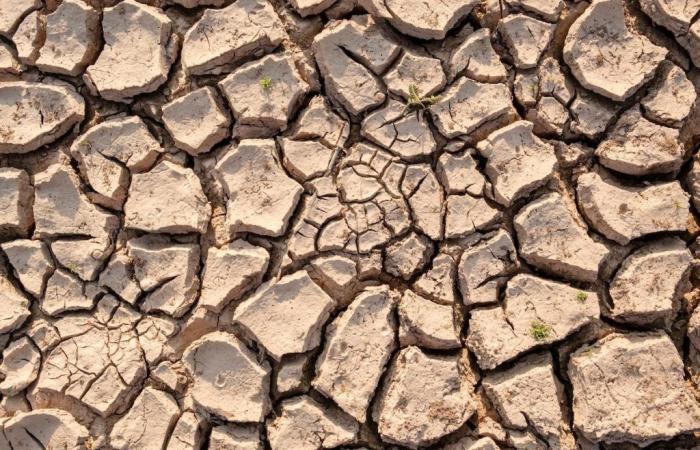 Drought, Sicily requests recognition of conditions of force majeure and exceptional circumstances – Economy and politics