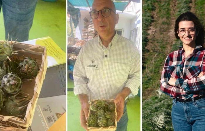 From Lombardy to Calabria to lead the family business that produces the rare spiny wild artichokes