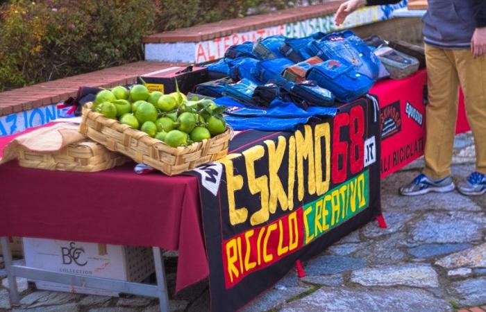 Equosud and solidarity production in Calabria: another economy is possible! | Changing Calabria