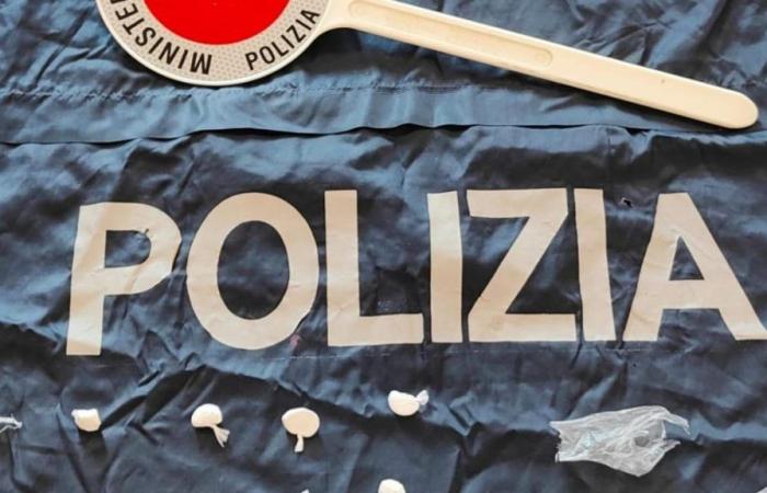 17-year-old Pusher arrested in Padua: he was dealing cocaine in the park