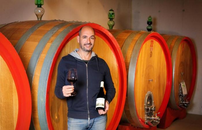 Marche wine tourism: from the vineyard to the table. With Gioachino Rossini Opera Food in Fano the stop in the Di Sante cellar