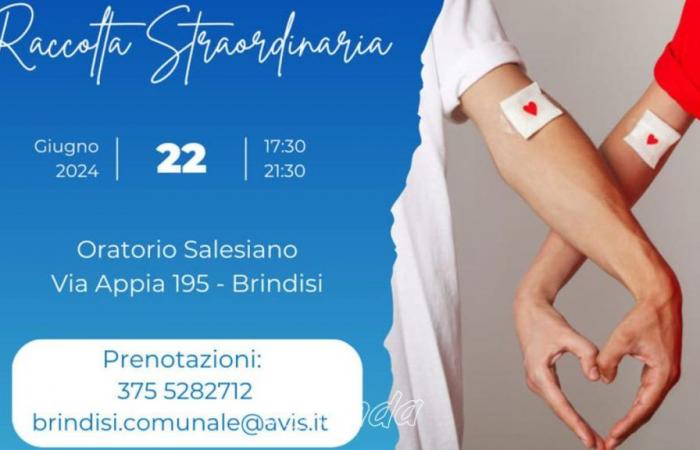on Saturday an Avis blood drive in the Salesian Oratory – Agenda Brindisi
