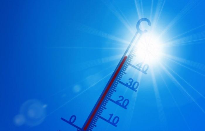 Record temperatures in Basilicata: working in the fields during the hottest hours is prohibited