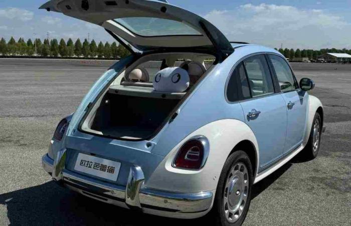The new Ballet Cat arrives: the Chinese clone of the Beetle, also electric | It costs less than €20,000, there is already a boom in pre-orders for the summer