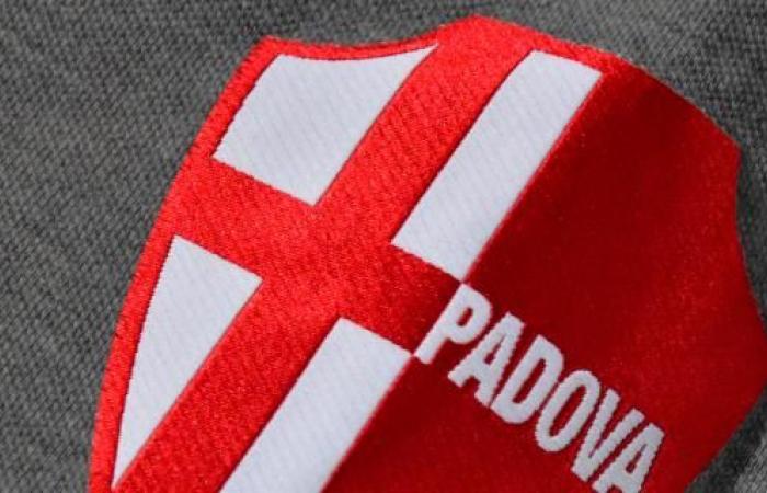 Padova responds to the fans: “We respect their wishes. We will do everything to bring them closer together”