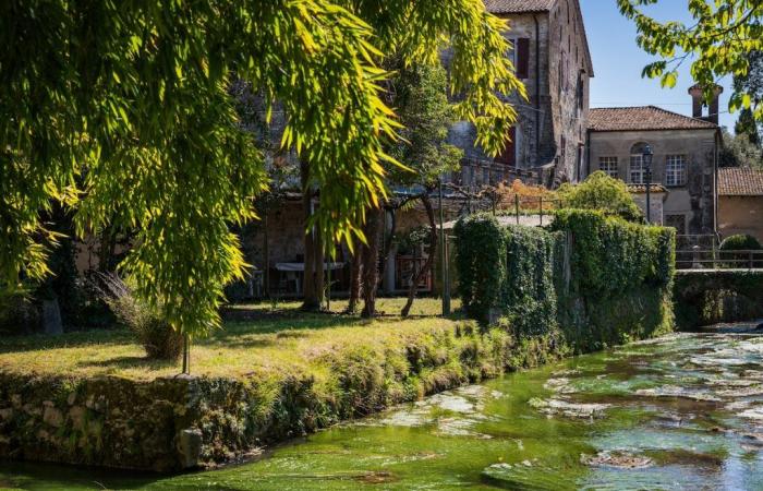 The most beautiful gardens to visit (not only in spring) in Friuli-Venezia Giulia
