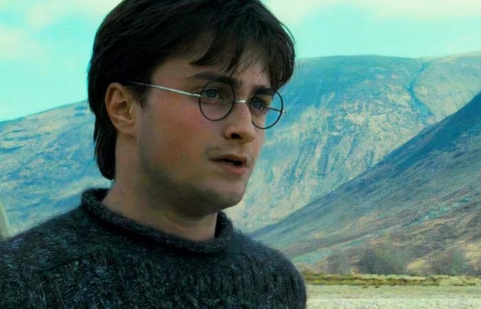 Daniel Radcliffe reveals which book he would like to adapt for the TV series