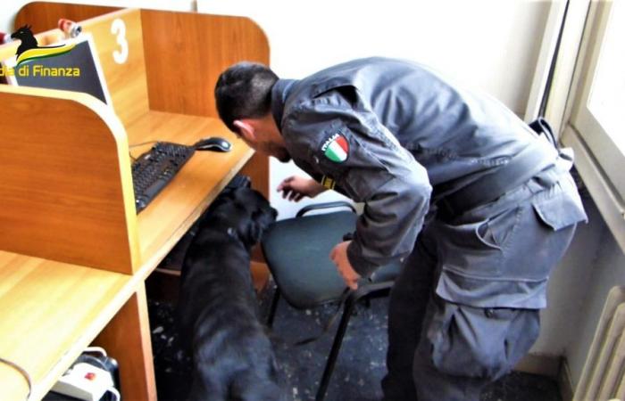 Prato, raid on an internet point: 15 PCs connected to unauthorized foreign gaming platforms seized (VIDEO)