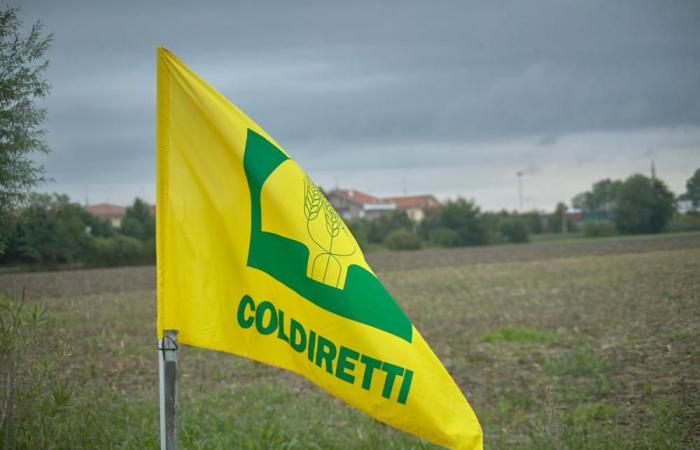 Mobilization: the farmers of Coldiretti Puglia by the prefects for agricultural emergencies