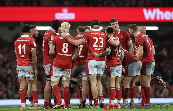 Test Match: Wales’ new lineup for the match against South Africa
