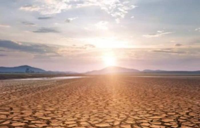 There is a drought alarm in Calabria: sources down by 50%. Sorical to the mayors: “Ordinances are necessary that prohibit the use of water for irrigation and filling swimming pools”