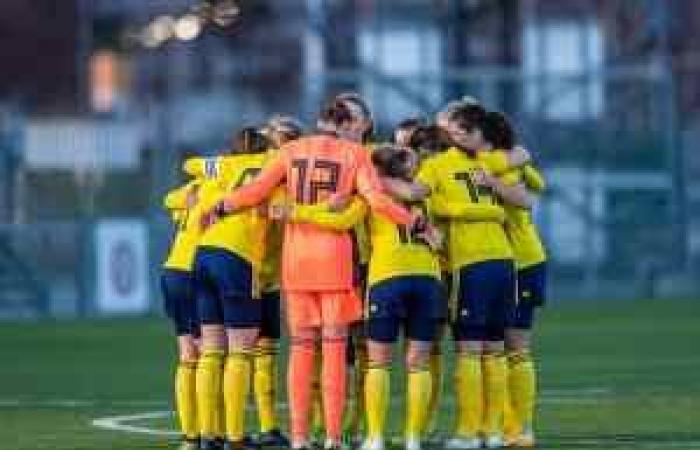 U15 women’s football, the Benetti trophy begins – Livornopress