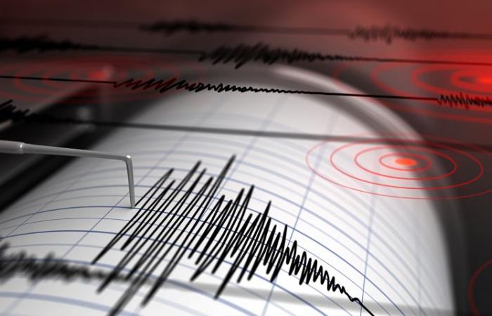 Castelnuovo di Val di Cecina: The earthquake shocks recorded in the last 24 hours in Tuscany (20 June 2024)