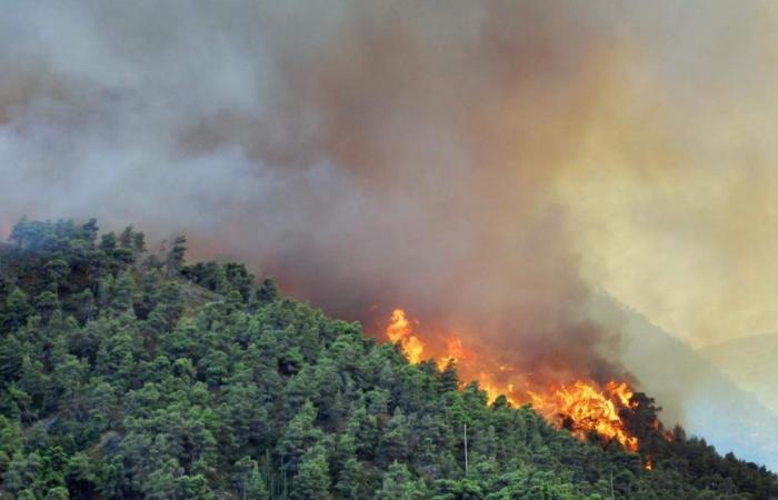 Ceprano, request for a seasonal fire brigade to combat the fire emergency – Tu News 24