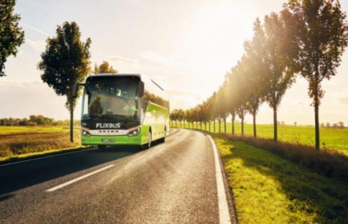 Summer: FlixBus strengthens its offer in Cosenza and Calabria. Over 30 centers have been reached in the province